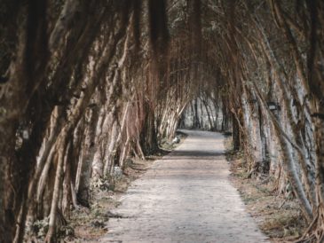 Banyan Tree Bintan retreat