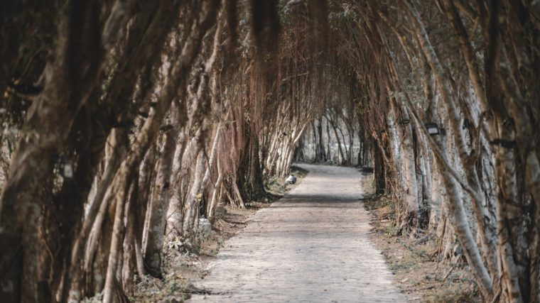 Banyan Tree Bintan retreat